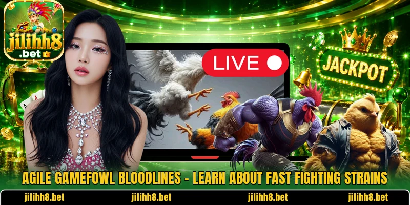 Agile Gamefowl Bloodlines – Learn About Fast Fighting Strains