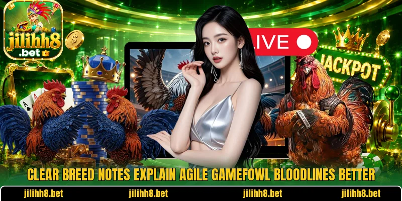 Bloodline Selection Gamefowl – Choose Suitable Breeding Lines
