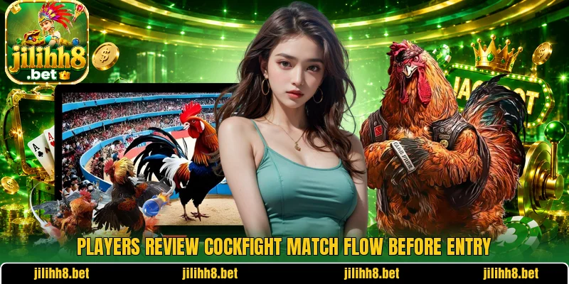 Players review cockfight match flow before entry Players review cockfight match flow before entry